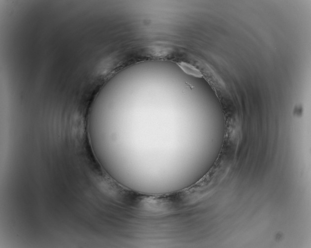 X0000102830568200808181051