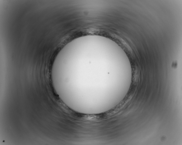 X0000102830569200808181051