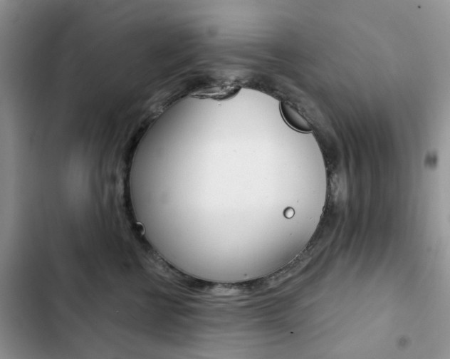 X0000102830570200808181051