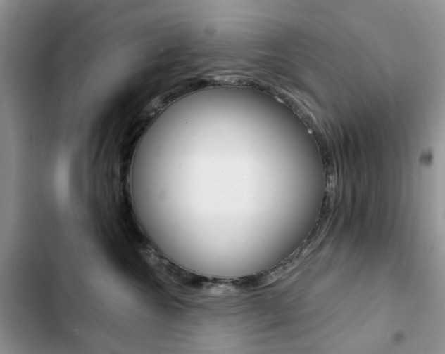 X0000102830572200808181051