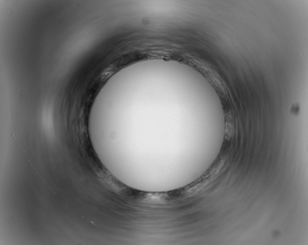 X0000102830573200808181051