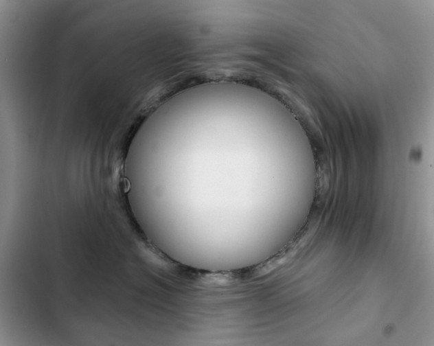 X0000102830574200808181051