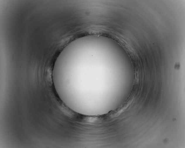 X0000102830575200808181051