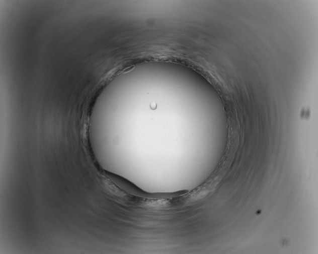 X0000102830576200808181051