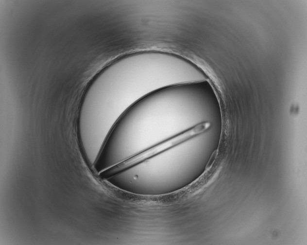 X0000102830577200808181051