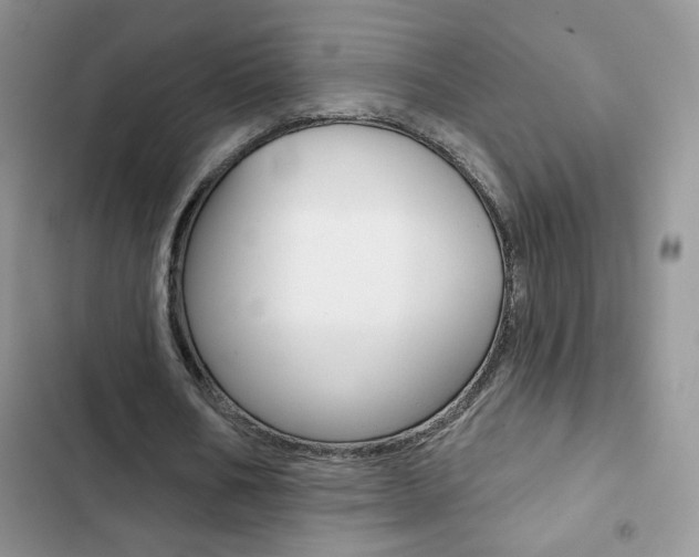 X0000102830578200808181051