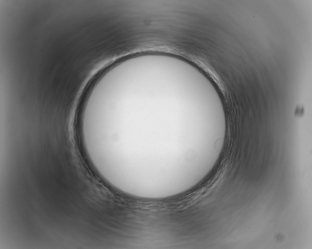 X0000102830579200808181051