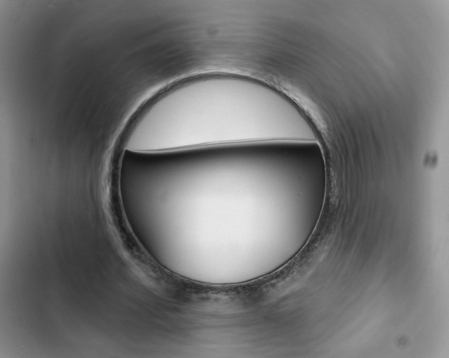 X0000102830580200808181051