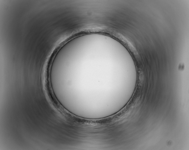 X0000102830582200808181051