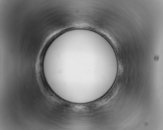X0000102830583200808181051