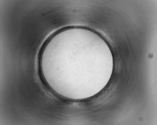 X0000102830584200808181051