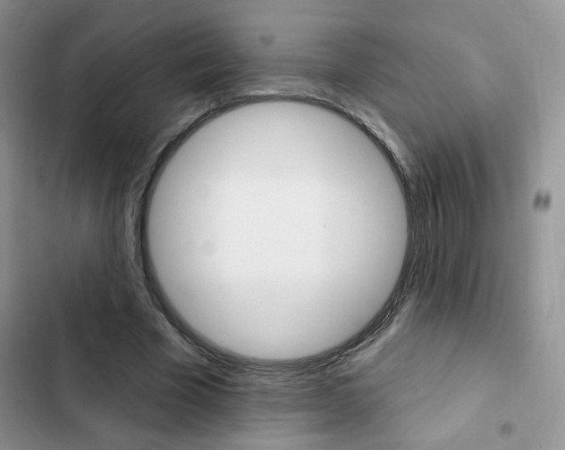 X0000102830585200808181051