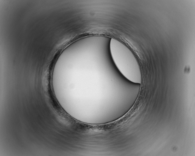 X0000102830586200808181051