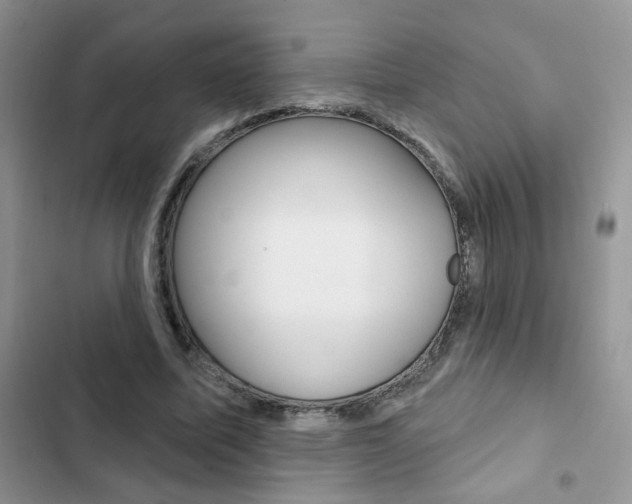 X0000102830587200808181050