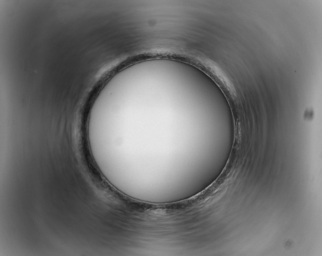 X0000102830588200808181050