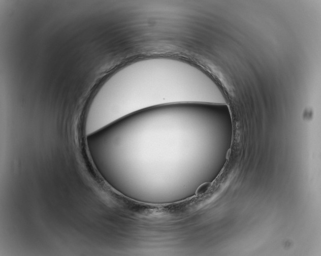 X0000102830589200808181050