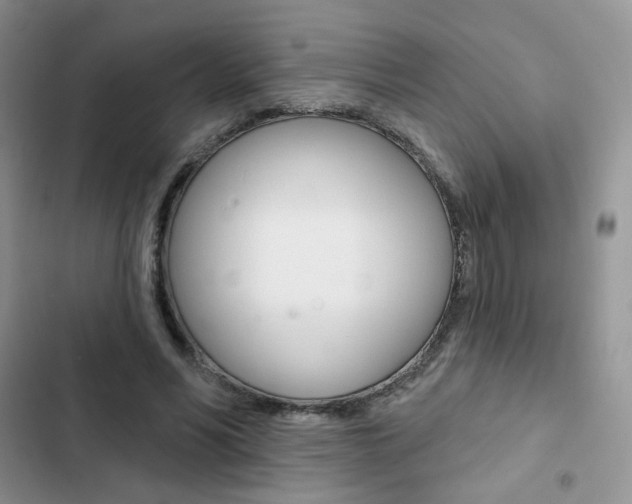X0000102830590200808181050