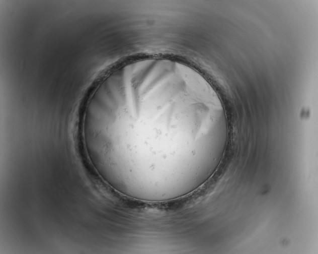 X0000102830592200808181050