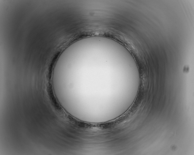 X0000102830594200808181050