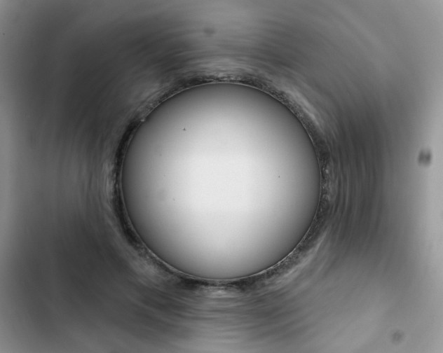 X0000102830597200808181050