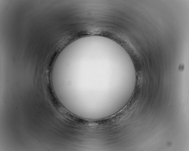 X0000102830598200808181050