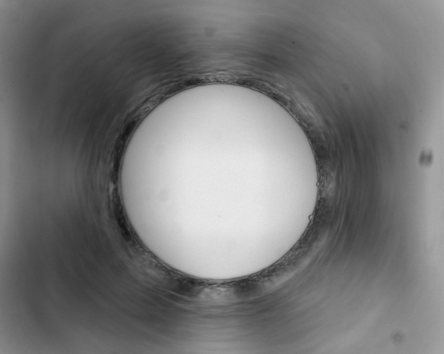 X0000102830599200808181050
