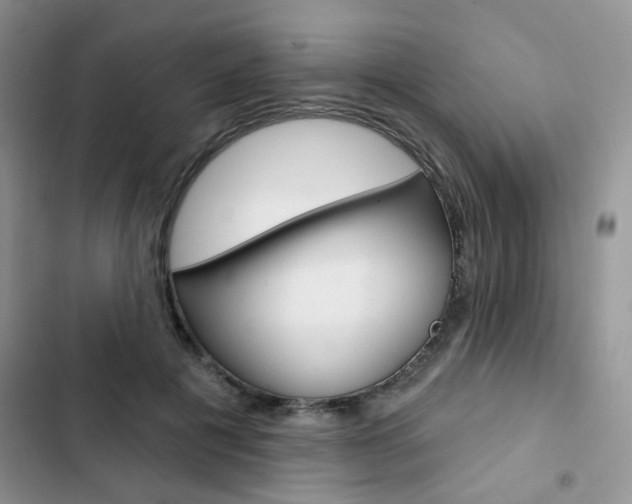 X0000102830601200808181050