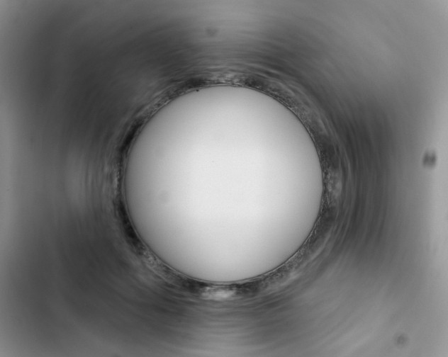X0000102830602200808181050