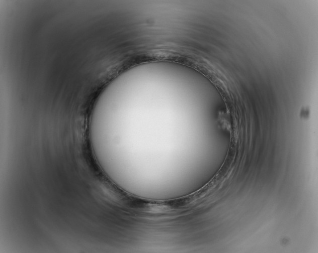 X0000102830605200808181050
