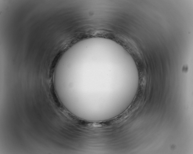 X0000102830607200808181050