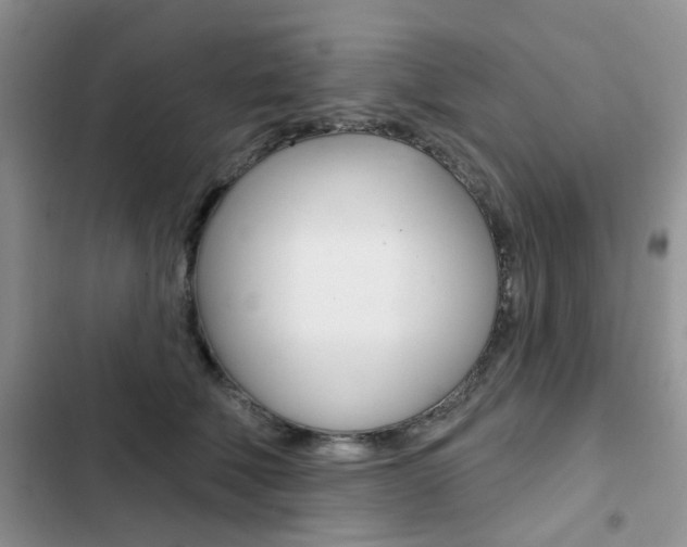 X0000102830610200808181050