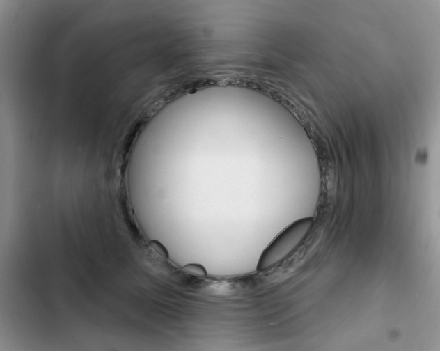 X0000102830611200808181050