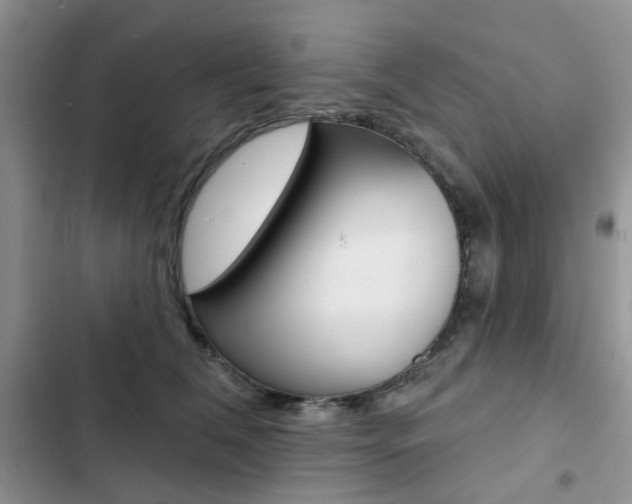 X0000102830612200808181050