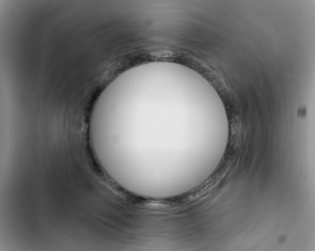 X0000102830614200808181050
