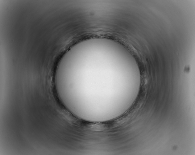 X0000102830615200808181050