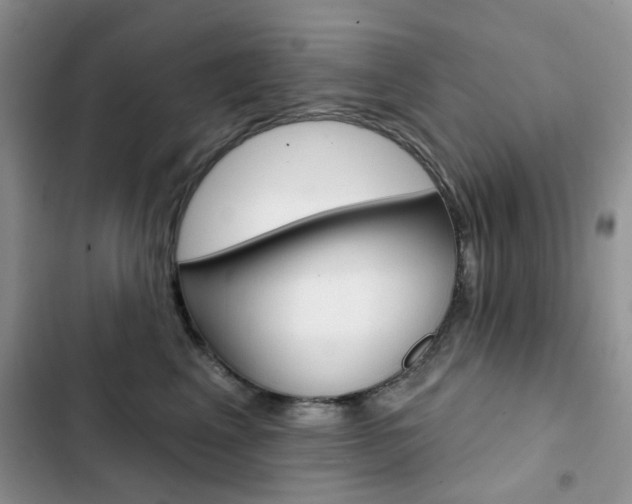 X0000102830617200808181050
