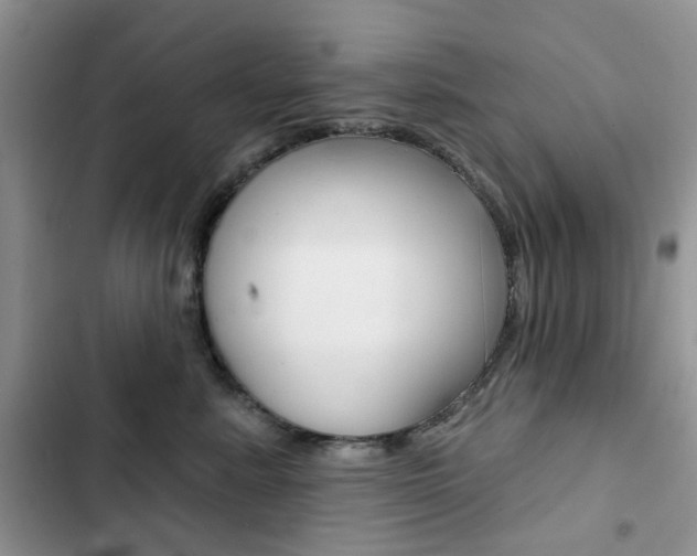 X0000102830619200808181050