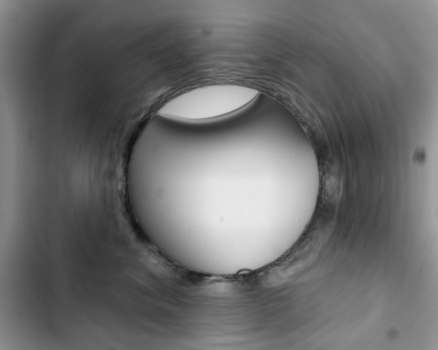 X0000102830620200808181050