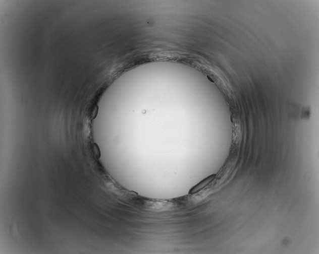 X0000102830621200808181050