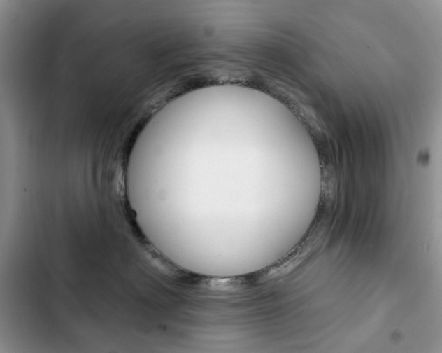 X0000102830622200808181050