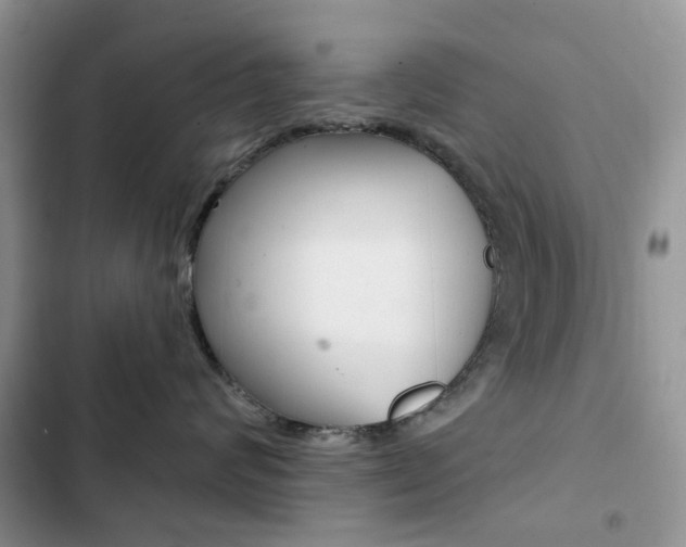 X0000102830624200808181050