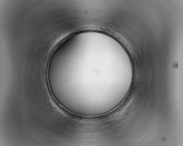 X0000102830625200808181049