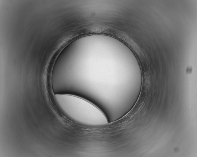 X0000102830626200808181049