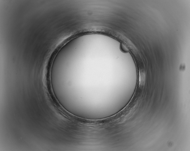 X0000102830627200808181049