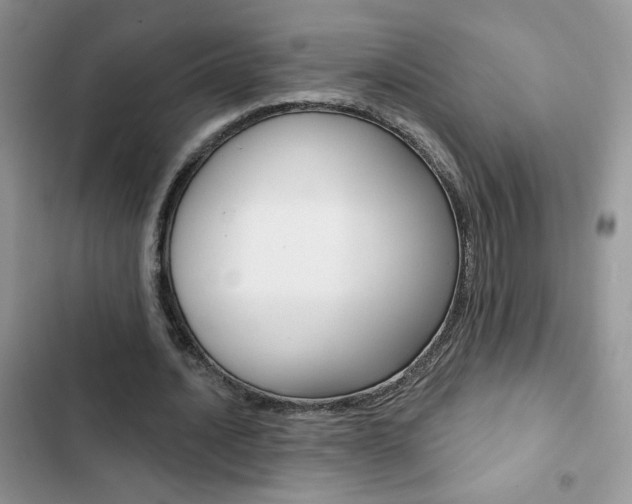 X0000102830628200808181049