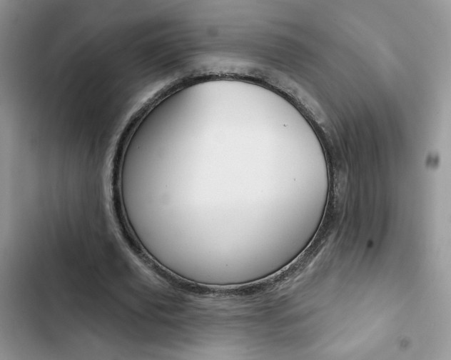X0000102830629200808181049