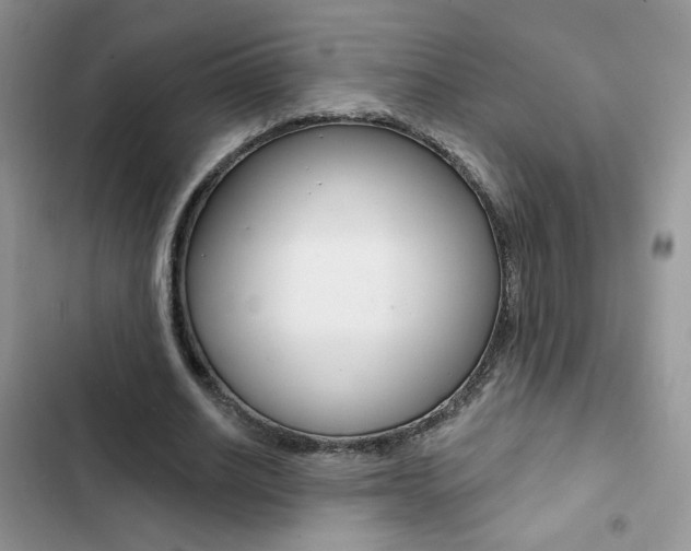 X0000102830630200808181049