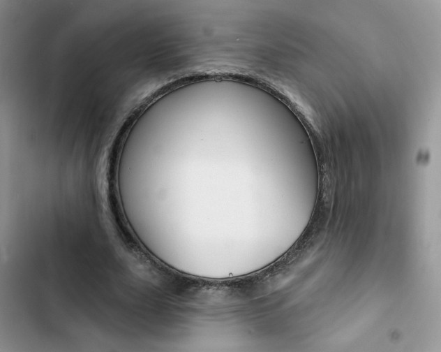 X0000102830631200808181049