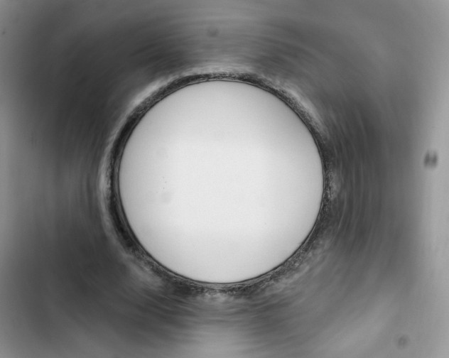 X0000102830632200808181049