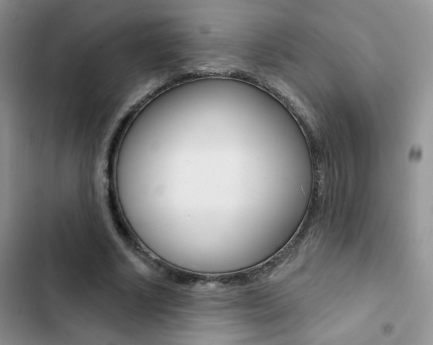 X0000102830634200808181049